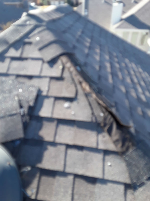 Shingle roof repair roanoke tx before